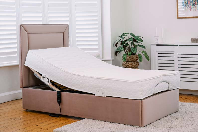 Pink Back Care Beds adjustable bed in a room with a plant and radiator.