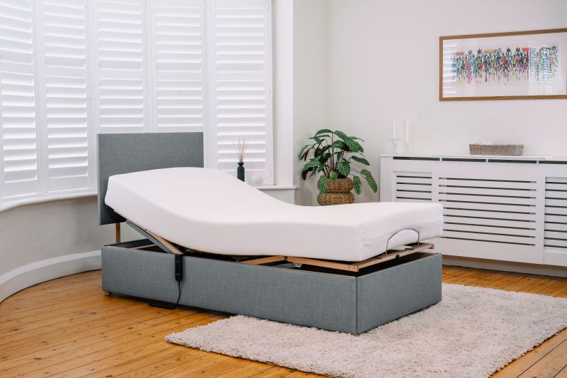 Adjustable bed in a room with wooden flooring and a plant.